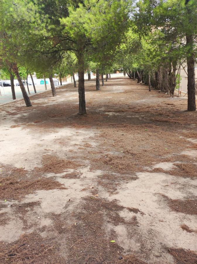 Apartamento Completo, Mascotas Aceptadas Arenales del Sol Extérieur photo