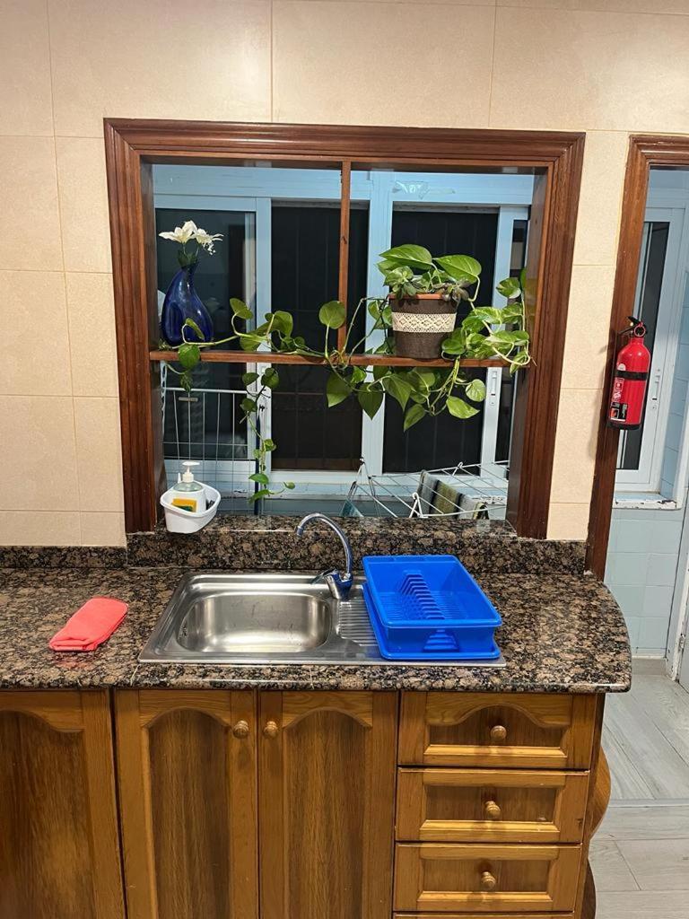 Apartamento Completo, Mascotas Aceptadas Arenales del Sol Extérieur photo